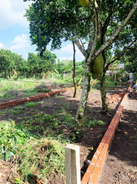 110m² Đất Thổ Cư Ngay Dốc Đồn Hàm Nghi – P. Bảo Vinh – ĐN. Giá chỉ 8tr/m vuông