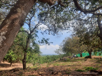 Một Lựa Chọn ĐÁNG Cân Nhắc nếu đang tìm Đất Vườn quanh hồ Trị An