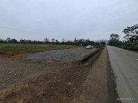 đất đường nhựa 7m . 390tr/110m2