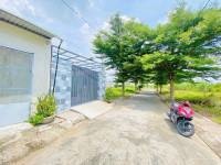 Bán nhanh nền đất Đăng Mỹ, xã Mỹ Bình, Tân Trụ, Long An