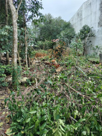 ĐẤT ĐẸP – KIỆT Ô TÔ HÒA THỌ TÂY – 111,5m² – GIÁ CHỈ 2,68 TỶ!