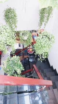 GIÁP Q1 - NHÀ XINH NHƯ HÌNH NHÀ 2 MẶT TIỀN ĐƯỢC MỞ CỬA SAU THOÁNG SÁNG