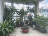 12.5 TỶ 

 NHÀ ĐẸP NGUYỄN XÍ – XE HƠI NGỦ TRONG NHÀ – 4 TẦNG - SỔ HỒNG RIÊNG 