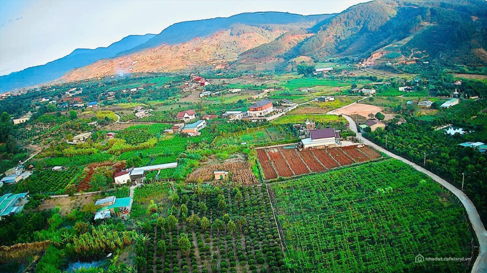 Chính chủ Bán đất tại Đông Thanh, Lâm Hà, 825 triệu, 251 m2 có sẵn 100m3 thổ cư