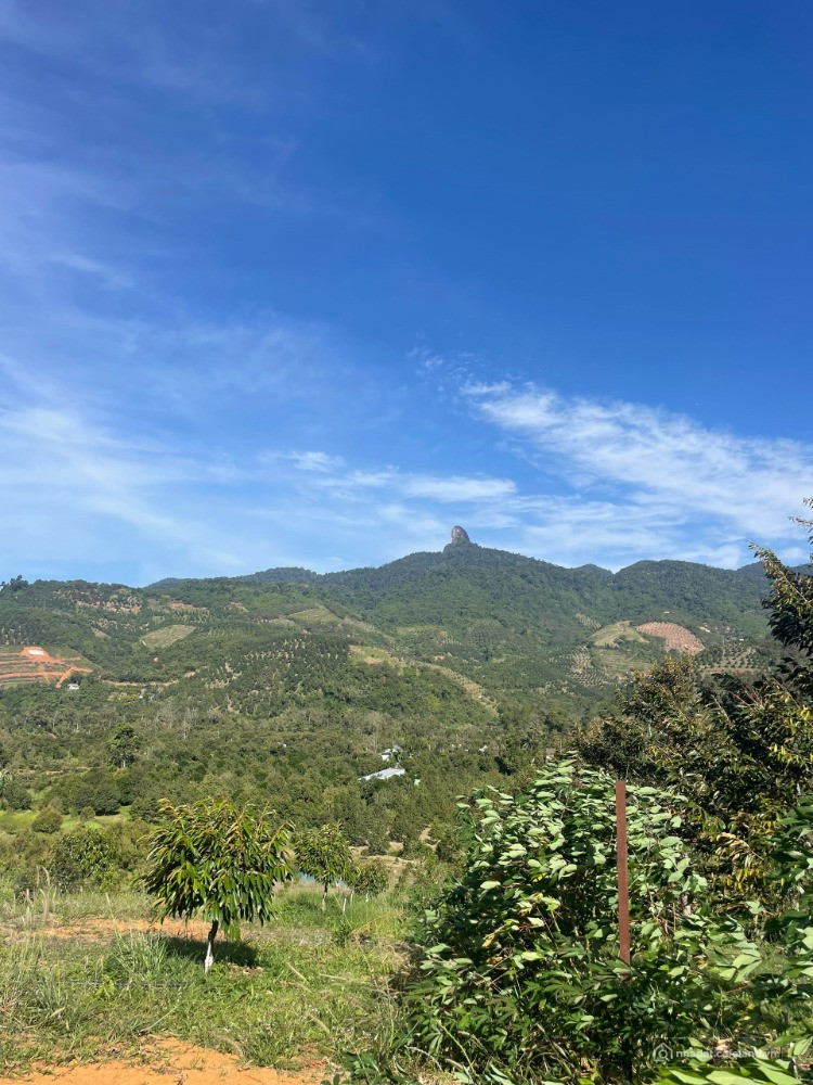 BÁN ĐẤT MẶT TIỀN QUỐC LỘ 20 – SUỐI BAO ĐẸP | Đạ Huoai