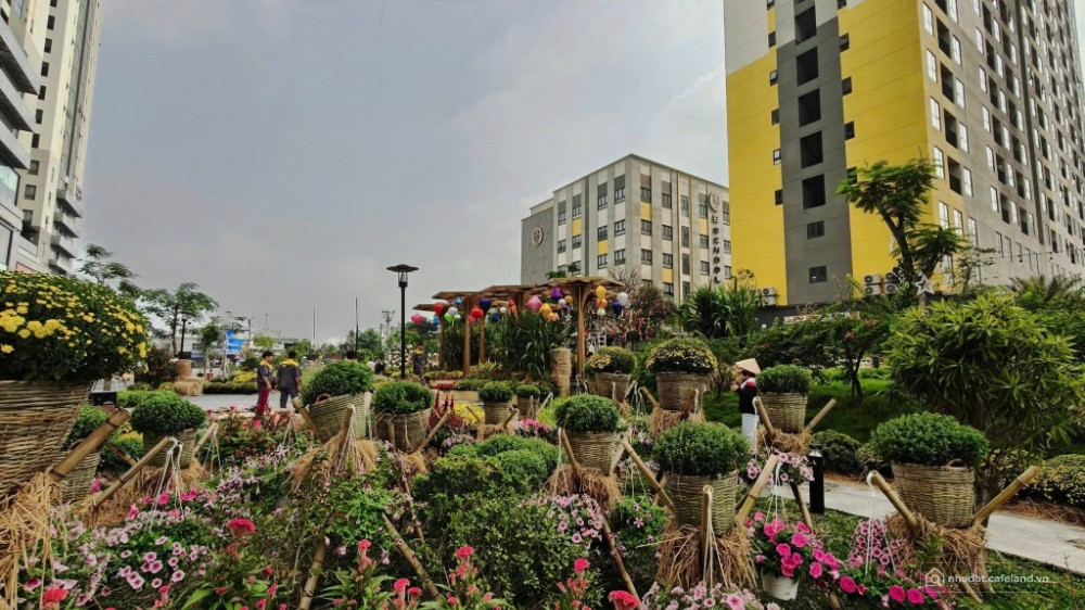 Bcons ra mắt sp cao cấp bcons center city nhưng đơn giá siêu tốt cho nhà đầu tư