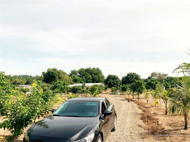 Đất vườn view suối giá rẻ | Gần KDL Thác Trời Xuân Lộc- Đồng Nai