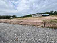 CHỈ 250 TRIỆU SỞ HỮU NGAY LÔ ĐẤT FULL THỔ CƯ TẠI CHỢ LONG VĨNH - TÂY NINH