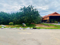  CHỦ NGỘP BÁN GẤP – ĐẤT THỔ CƯ VƯỜN BƯỞI TP HỒ CHÍ MINH, 250m2 CHỈ TỪ 250TR