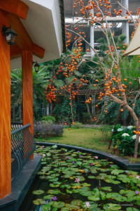 CHECK-IN MÙA XUÂN – SỐNG XANH CẢ NĂM”