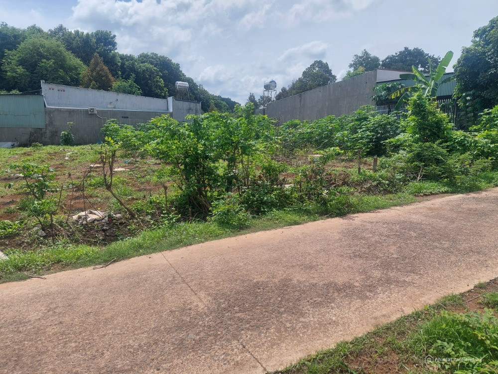 BÁN 250M2 ĐẤT THỔ CƯ GẦN QUỐC LỘ 13, ĐỐI DIỆN CHỢ SHR, THỔ CƯ