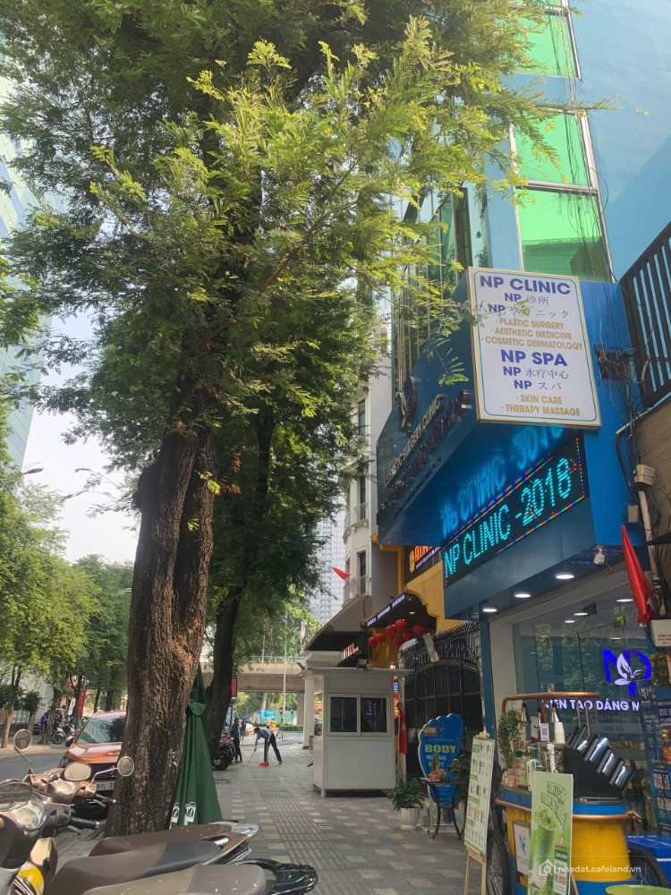 TÀI SẢN LÕI HIẾM TRUNG TÂM QUẬN 1 – LÊ THÁNH TÔN, BẾN NGHÉ