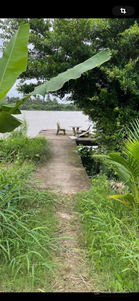 Vĩnh Long BÁN NHÀ VIEW SÔNG – MẶT TIỀN ĐƯỜNG NHỰA LỚN – Ô TÔ 50 CHỖ TỚI TẬN NƠI