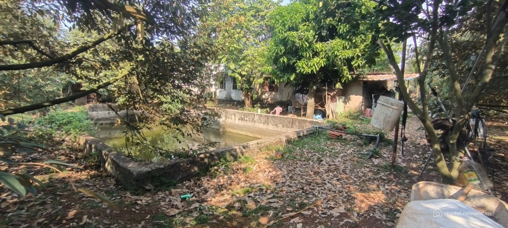 ĐẤT VƯỜN RI6 FULL HỒNG, GẦN KHU CÔNG NGHIỆP, SÂN BAY