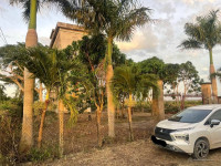 Bán đất thổ vườn có nhà Yến tại Lý Nhơn, Cần Giờ HCM