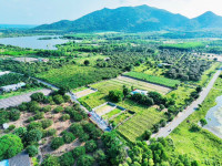 ĐẦU NĂM HOAN HỈ. BÁN NHANH LÔ ĐẤT NGHĨ DƯỠNG BIỂN PHƯỚC HẢI