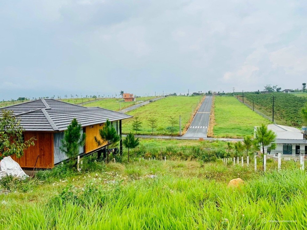 Bán đất ngay ngã 5 Dambri Lộc Tân, Tp Bảo Lộc. 300m2 thổ cư 7tr/m2