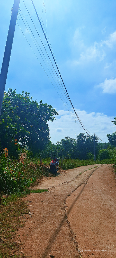 1000 m2 đất CLN, Cách QL1A chỉ 1,5km. P Bình Lộc, thích hợp mô hình nghỉ dưỡng