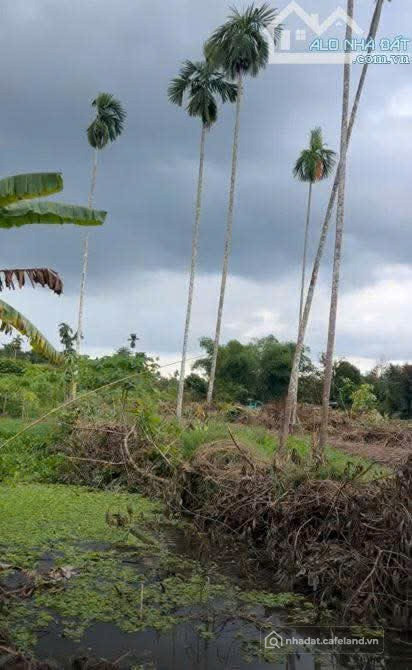 BÁN 30 CÔNG ĐẤT LÀM DU LỊCH NGHỈ DƯỠNG GẦN THỊ TRẤN PHONG ĐIỀN, TP CẦN THƠ