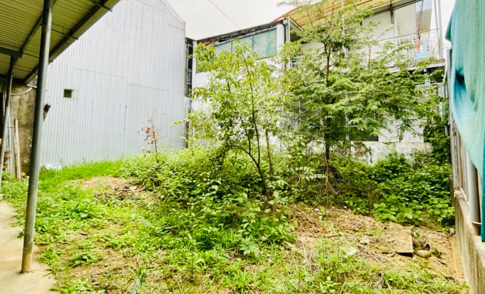  [THANH LÝ GẤP] – ĐẤT MẶT TIỀN 14M – LÝ TƯỞNG CHO MẪU BIỆT THỰ PHỐ HUẾ 