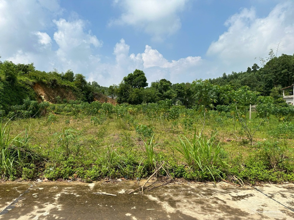 Bán Đất 300m2 có 240m2 thổ cư mà giá chỉ 1 tỷ 830Triệu. Lô đất tại Xã Đại Phúc