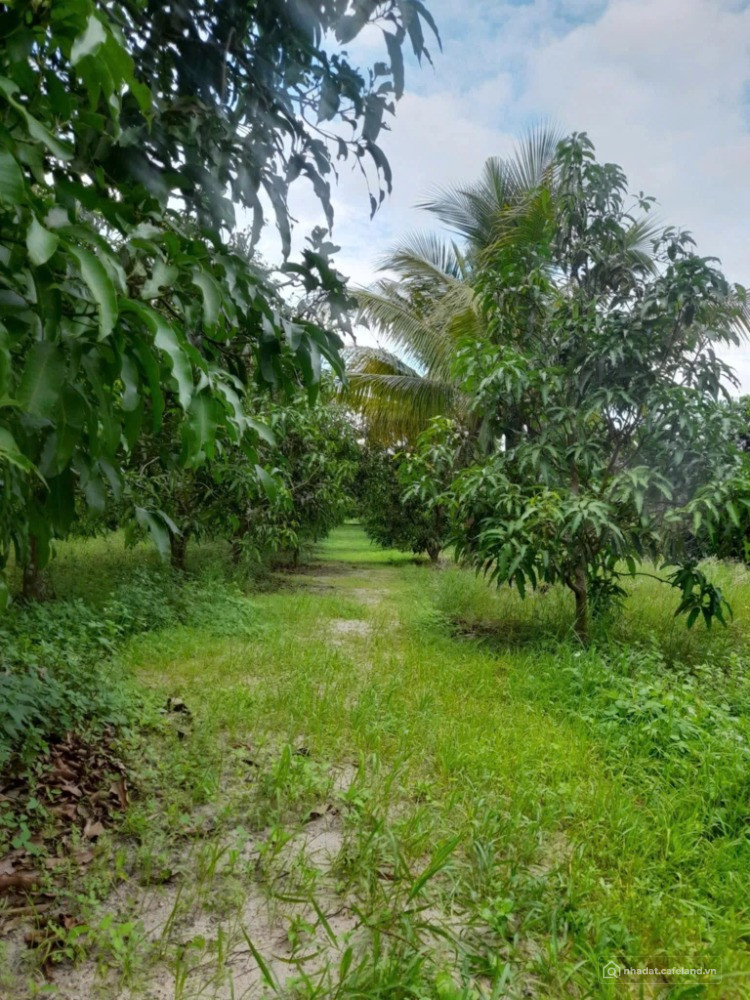 ĐẤT QUY HOẠCH THỔ CƯ 2 MẶT ĐƯỜNG TẠI SUỐI TIÊN, SUỐI HIỆP, KHÁNH HÒA