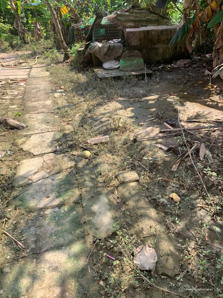 BÁN 1.584 M² Ô TÔ TỚI ĐẤT XÃ LONG PHƯỚC CŨ, NAY LÀ XÃ LONG HỒ, TỈNH VĨNH LONG