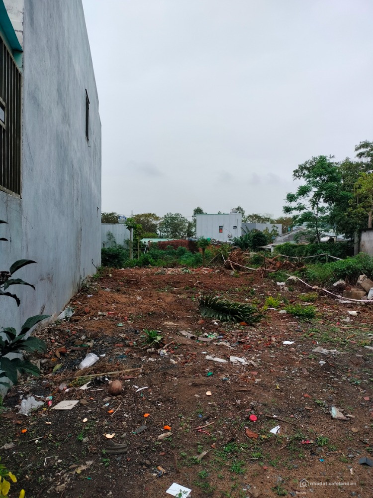 SỞ HỮU NGAY LÔ ĐẤT 100m² – KIỆT Ô TÔ 6M CÓ VỈA HÈ – GIÁ CHỈ 3,35 TỶ!