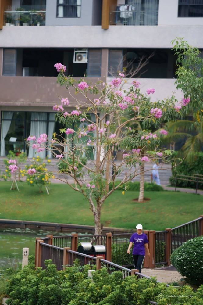 Mizuki Park - thuộc top 10 khu đô thị đáng sống tại Việt Nam