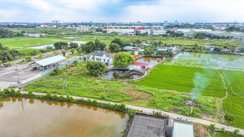  Đất Bến Lức – Long An, sổ riêng, đường ô tô, giá chỉ từ 2.3 tỷ LH:093215890