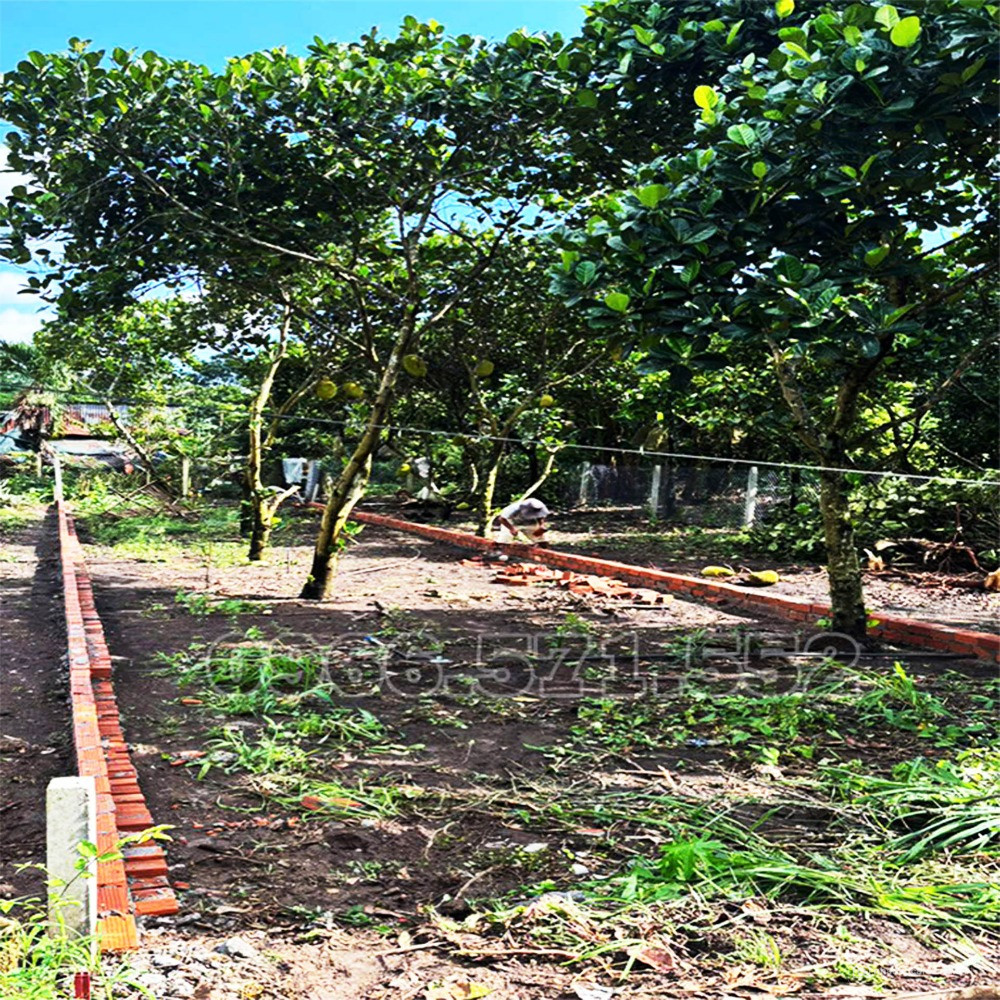 TẦM 800Tr HIẾM CÓ VỊ TRÍ NÀO NGAY TRUNG TÂM, GẦN TRƯỜNG, CHỢ VÀ KCN, NHƯ NÀY!