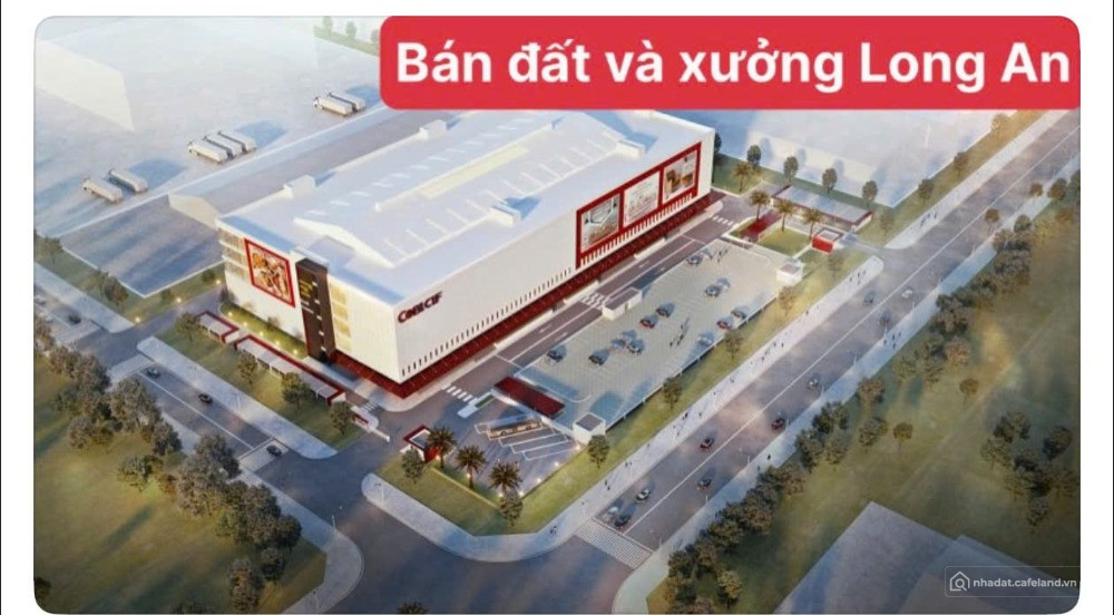 Chuyển nhượng kho xưởng mặt tiền Tỉnh lộ 10, Đức Hòa Hạ, Long An