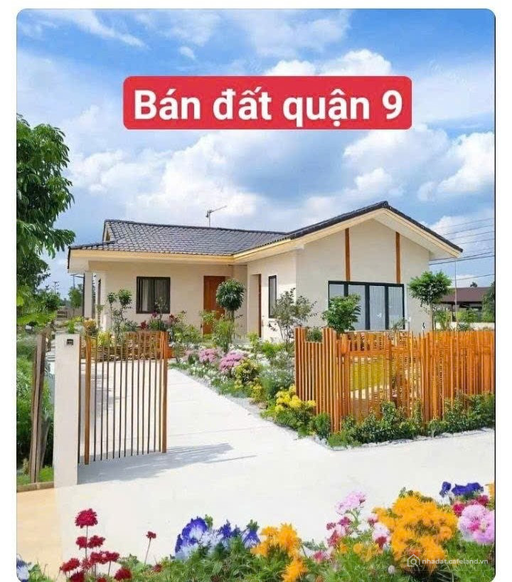 Chuyển nhượng đất mặt tiền đường 12, phường Long Phước, quận 9 cũ