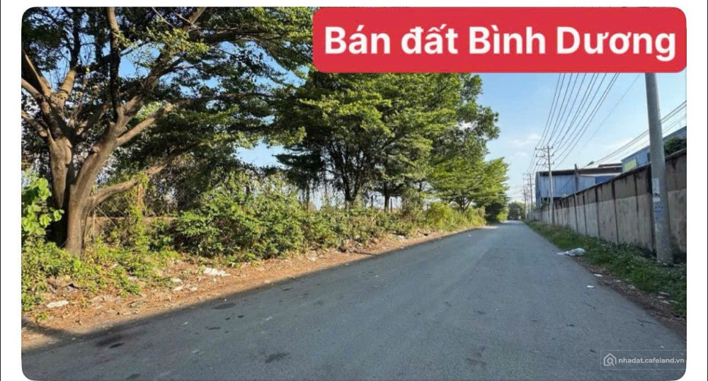 Chuyển nhượng lô đất mặt tiền đường nhựa tại Tân Uyên, Bình Dương