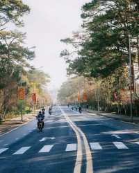 Bán lô đất XD Đan Kia- 200m- Phường Langbiang- Đà Lạt 5 tỷ