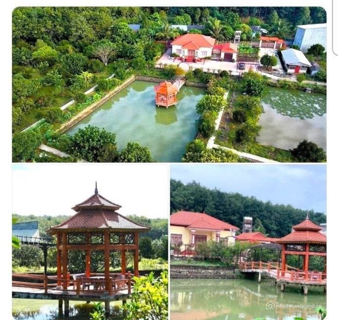 Bán khu nghỉ dưỡng Yến Sào Hoài Thanh, Bình Phước