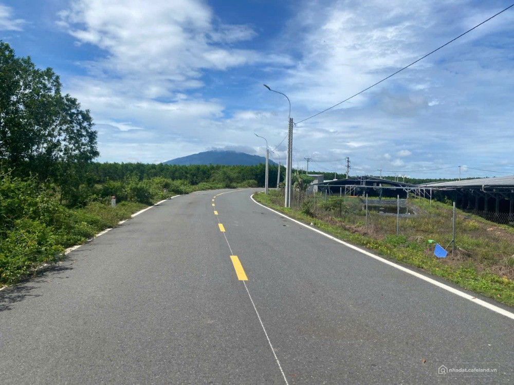 Bán 6 sào đất mặt tiền đường Xuân Thành, Trảng Táo, Xuân Lộc, Đồng Nai, giá 650