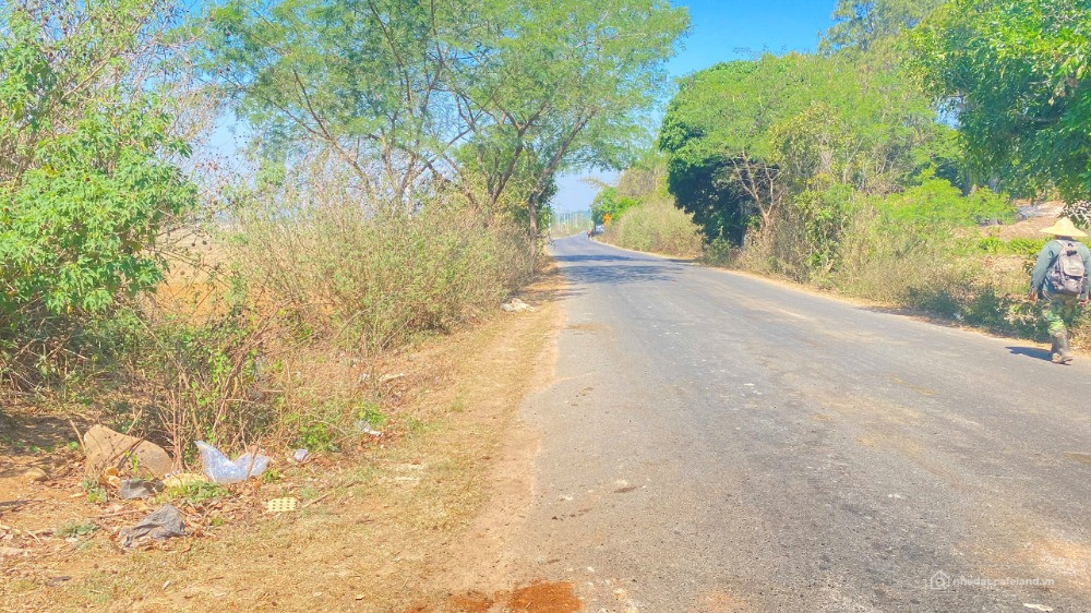 1ha mặt tiền nhựa chính vào thác Pongour, phú hội cũ, đức trọng, lâm đồng