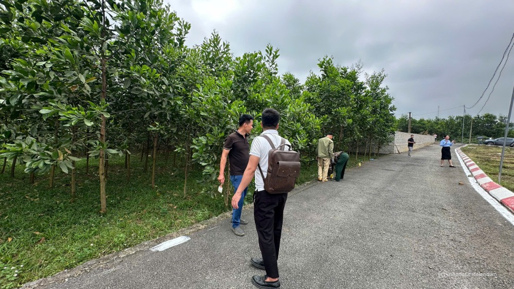 CHỈ TỪ 2XX TRIỆU – SỞ HỮU NGAY ĐẤT SỔ RIÊNG TRUNG TÂM AN BÌNH | GIÁ HIẾM – TIỀM