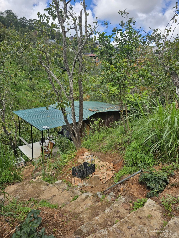 Top nhà nghỉ dưỡng 20 x 25m Khe Sanh TP. Đà Lạt chỉ 2.5 tỷ