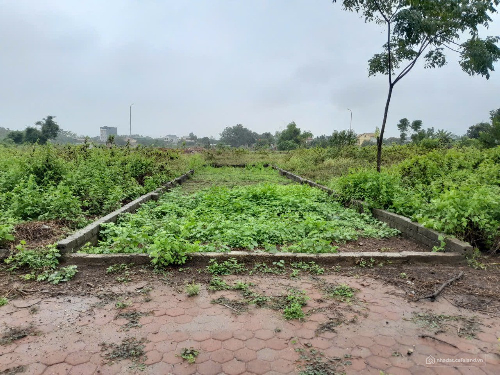 bán 120m2 đất tái định cư Bình Yên - Hòa Lạc, gần đại học FPT, đại học quốc gia