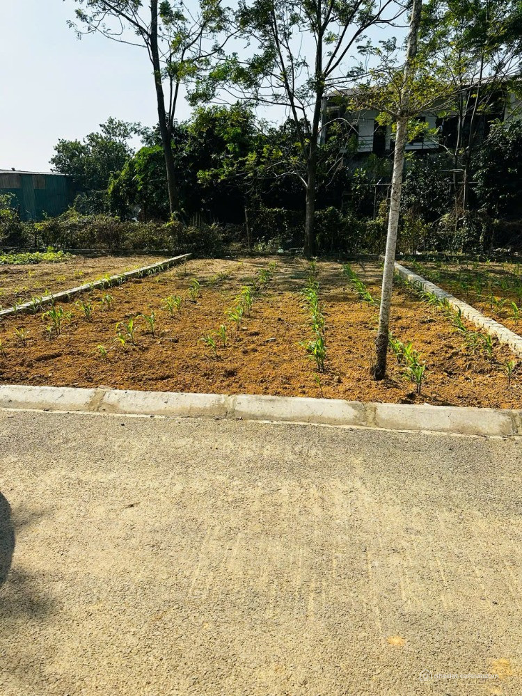 MUA BÁN ĐẤT NỀN ĐOÀI PHƯƠNG - CỔ ĐÔNG - HÒA LẠC | 100m² FULL THỔ CƯ ĐƯỜNG THÔNG