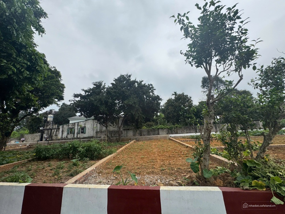 Cần bán gấp mảnh đất ở đô thị, sổ đỏ Hà Nội, gần 2 trường ĐH lớn