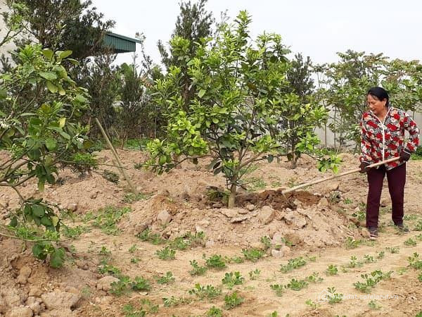 Bán Đất Vườn 9664m2 Sân Bay Long Thành Xã Xuân Đường, Huyện Cẩm Mỹ, Đồng Nai