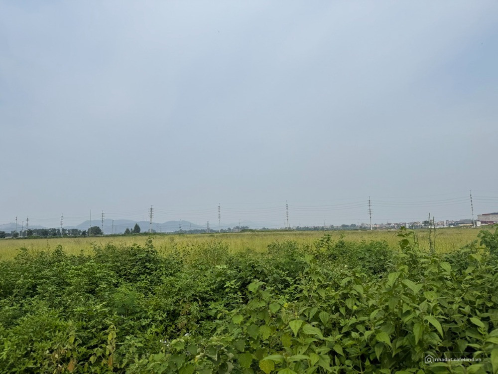 CHUYỂN NHƯỢNG 20.000m² ĐẤT KHU CN QUANG CHÂU – BẮC NINH