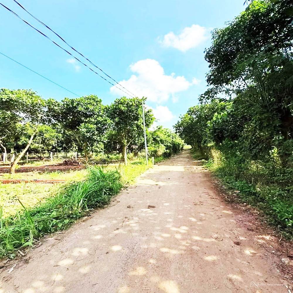 800Tr HIẾM CÓ VỊ TRÍ NÀO NGAY TRUNG TÂM, GẦN TRƯỜNG, CHỢ VÀ KCN, NHƯ NÀY!