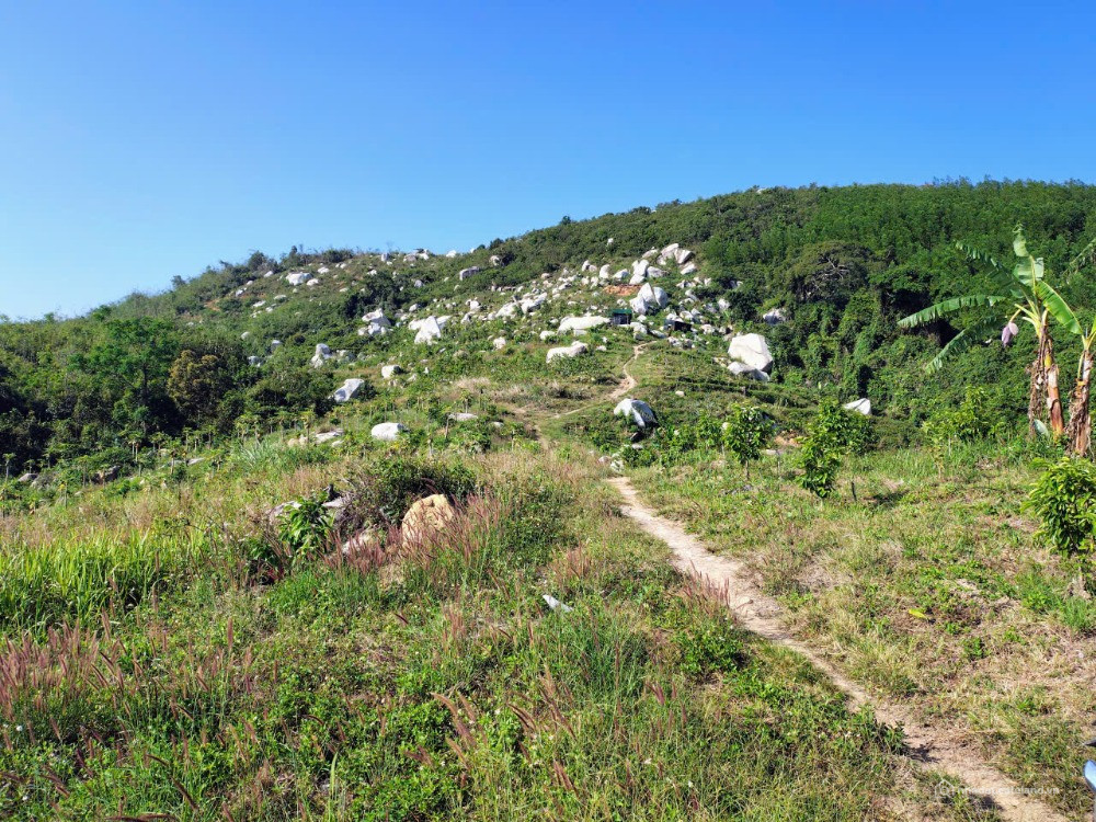 Bán khu vườn view biển, Bãi Dài, Cam Ranh