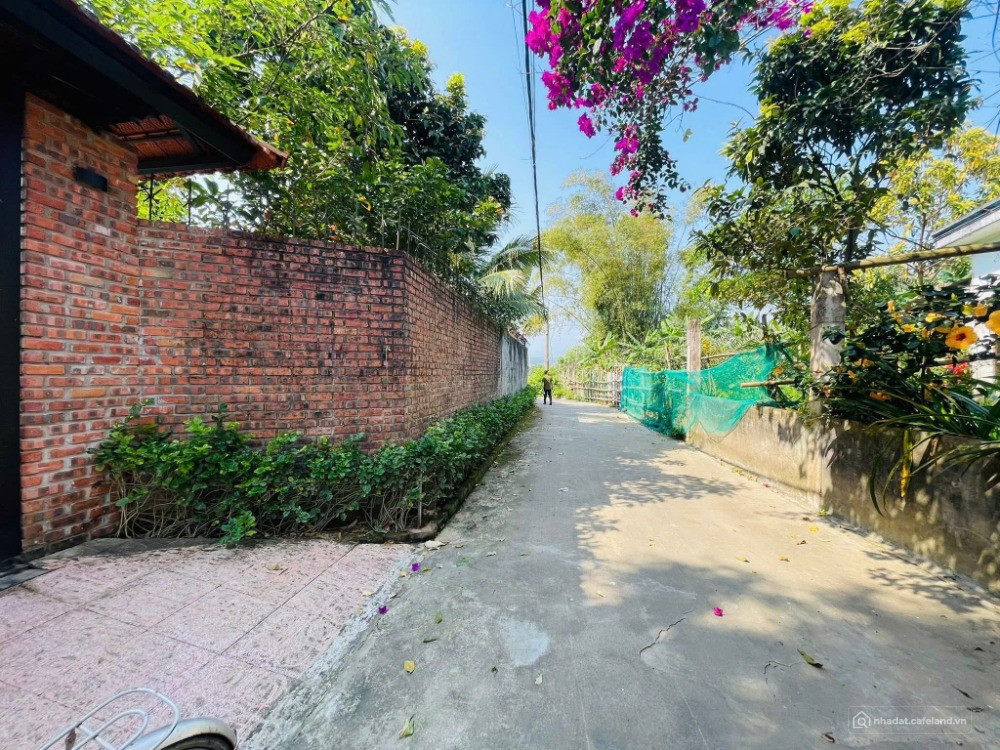 Đất Nền Ven Sông Cẩm Lệ - Thăng Long Nối Dài 20m tới đất