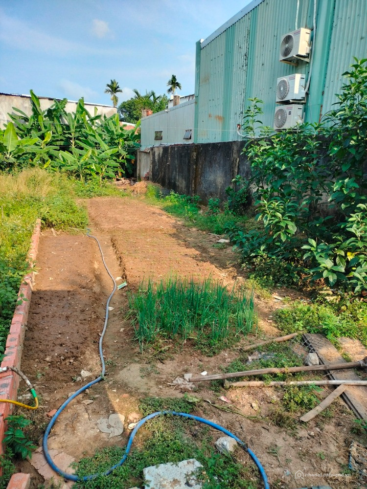 LÔ ĐẤT AN CƯ LÝ TƯỞNG – 140M² HÒA THỌ TÂY – CHỈ 2,95 TỶ!