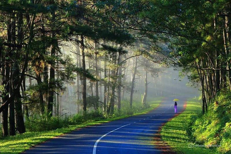 Chuyển nhượng KDL chủ quyền tư nhân trung tâm thành phố Đà Lạt